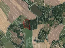 Prodej lesa, Bořetín, 31787 m2