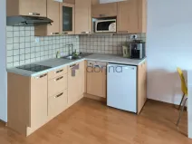 Prodej bytu 1+kk, Praha, Poděbradská, 36 m2