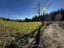Prodej louky, Lučany nad Nisou, 2462 m2