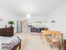 Prodej bytu 1+kk, Plzeň - Bolevec, Krašovská, 33 m2