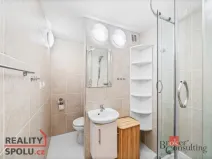 Prodej bytu 1+kk, Plzeň - Bolevec, Krašovská, 33 m2