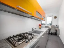 Prodej bytu 2+1, České Budějovice - České Budějovice 3, U Trojice, 63 m2