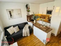 Pronájem bytu 1+1, Cvikov - Cvikov II, Sídliště, 40 m2