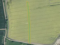 Prodej pole, Roštín, 17285 m2