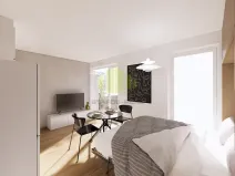 Prodej bytu 1+kk, Lipník nad Bečvou, Mánesova, 25 m2