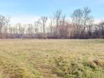 Prodej pole, Oseček, 76028 m2