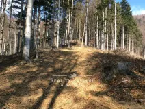 Prodej lesa, Morávka, 78172 m2