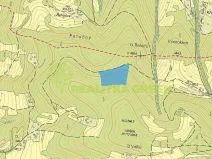 Prodej lesa, Růžďka, 21209 m2