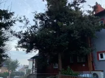 Prodej rodinného domu, Ústí nad Labem - Klíše, Na Drahách, 180 m2