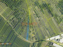 Prodej sadu/vinice, Kobylí, 1799 m2