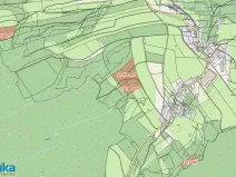 Prodej lesa, Strážná, 58908 m2