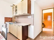 Prodej bytu 2+kk, Brno, Renneská třída, 58 m2