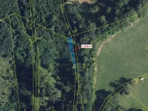 Dražba lesa, Kladky, 199 m2