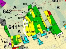 Dražba lesa, Velké Hamry, 6125 m2