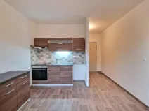 Prodej bytu 1+1, Chlumec, Tuchomyšlská, 38 m2