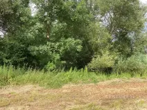 Prodej pozemku, Staňkovice, 438 m2