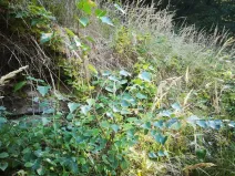 Prodej pozemku, Klatovy, 407 m2