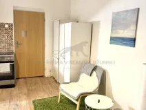 Pronájem bytu 1+kk, Praha - Košíře, Vrchlického, 36 m2