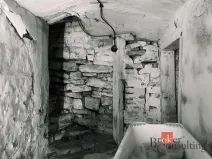 Prodej chalupy, Říčky v Orlických horách, 65 m2