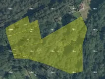 Prodej pozemku pro bydlení, Bojkovice, 6818 m2