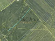 Prodej pole, Moravská Nová Ves, 7471 m2