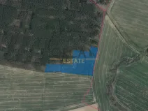 Prodej pole, Všehrdy, 65232 m2