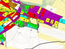 Dražba lesa, Olešnice, 15378 m2