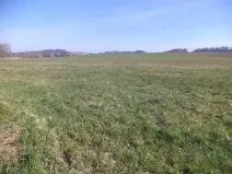 Dražba louky, Dolní Pěna, 4291 m2