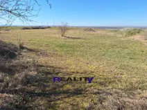 Prodej pozemku pro bydlení, Žatec - Milčeves, 4163 m2