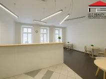 Pronájem kanceláře, Brno, Orlí, 171 m2
