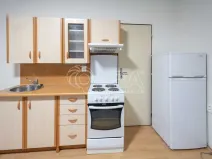 Pronájem bytu 1+kk, Mělník, Čechova, 30 m2