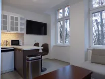 Pronájem bytu 2+1, Teplice, U Hadích lázní, 53 m2