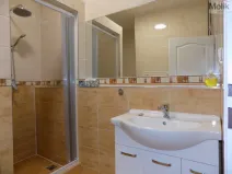 Pronájem bytu 2+1, Teplice, U Hadích lázní, 53 m2