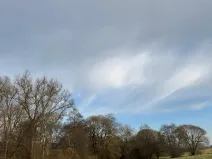 Prodej pozemku, Chvalšiny, 21761 m2