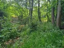 Prodej pozemku, Rožnov pod Radhoštěm, 126 m2