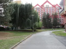 Pronájem bytu 2+1, Chomutov, Bezručova, 65 m2