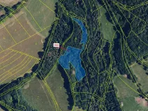 Dražba louky, Bouzov, 4766 m2