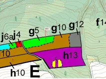 Dražba lesa, Kryry, 7695 m2