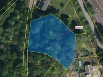 Dražba lesa, Karviná, 1999 m2