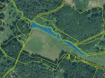 Prodej lesa, Rozvadov - Nové Domky, 5912 m2