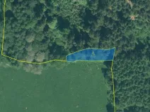 Prodej lesa, Rozvadov - Nové Domky, 5912 m2