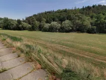 Prodej zahrady, Čeřenice, 3578 m2