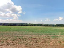 Prodej pole, Vlašim, Lidická, 17147 m2