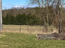 Prodej pozemku pro bydlení, Blatná, 3772 m2