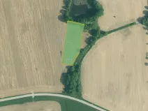 Prodej pole, Olešník, 67455 m2