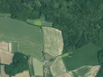 Prodej pole, Olešník, 67455 m2