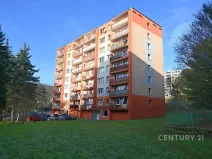 Prodej bytu 2+kk, Litvínov, Kopistská, 41 m2