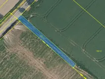 Prodej louky, Svijany, 1799 m2