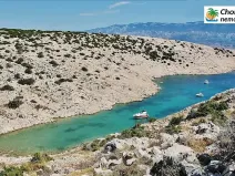 Prodej lesa, Novalja, Chorvatsko, 710 m2