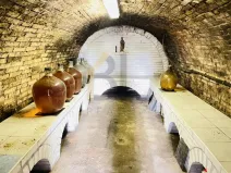 Prodej vinného sklepa, Dolní Bojanovice, Zemačka, 37 m2